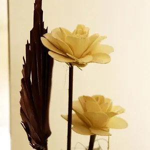 https://new-bazaar-arbens-apartment.albaniahotels.org