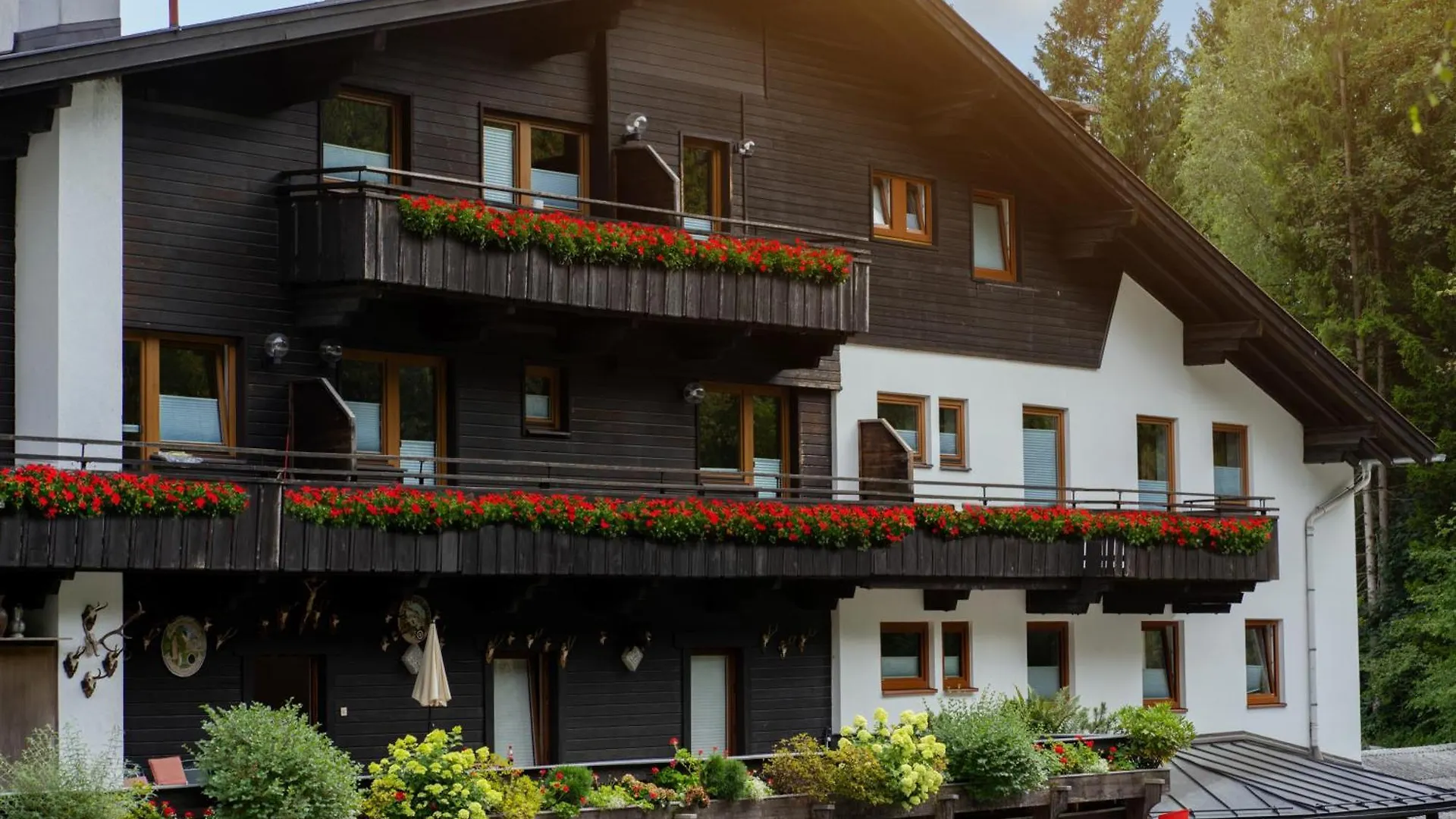 Canisiusbrünnl Innsbruck Apartamento
